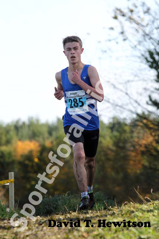 Blue 285, 2012 Start Fitness North East Harrier League, Cramington.